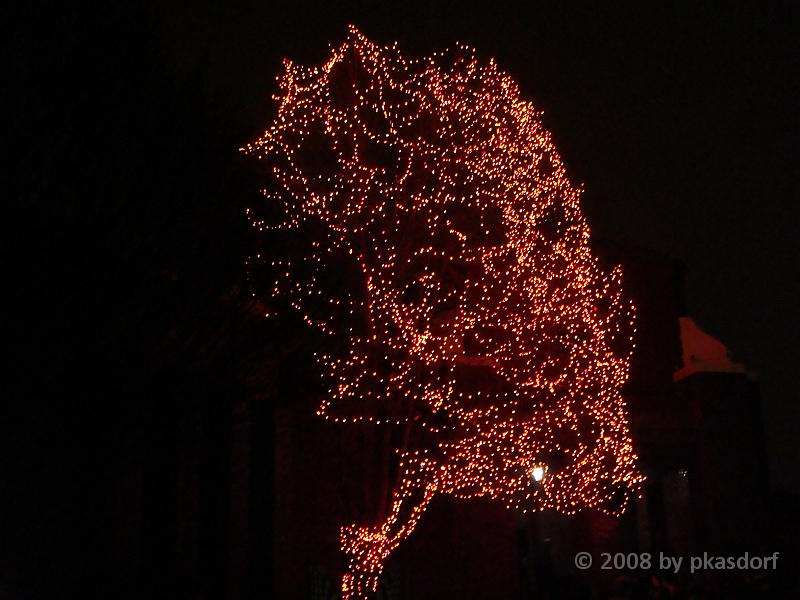 093 Toledo Zoo Light Show [2008 Dec 27].JPG - Scenes from the Toledo Zoo Light Show.